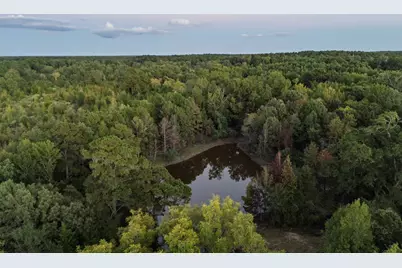 Tbd Fm 1998, Karnack, TX 75661 - Photo 32