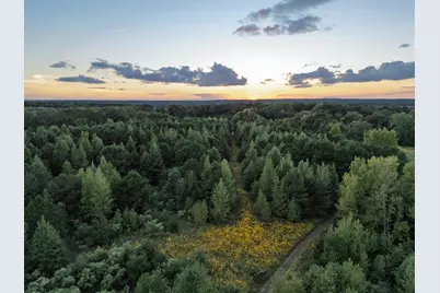 Tbd Fm 1998, Karnack, TX 75661 - Photo 16