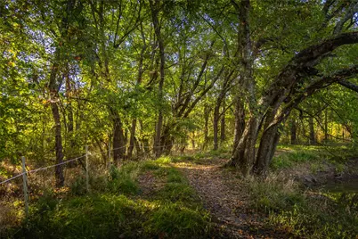 5147 Texas Highway 19, Cooper, TX 75432 - Photo 22