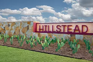 1711 Hillside Stroll Dr, Lavon, TX 75166 - Photo 4