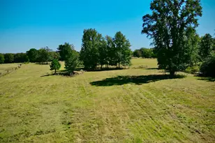 Tbd County Road 3418, Leesburg, TX 75451 - Photo 1