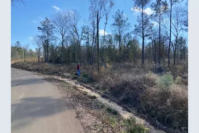 536 An County Road 1233, Palestine, TX 75801 - Photo 2