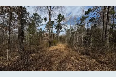 536 An County Road 1233, Palestine, TX 75801 - Photo 20