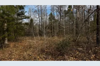 536 An County Road 1233, Palestine, TX 75801 - Photo 26