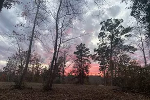 536 An County Road 1233, Palestine, TX 75801 - Photo 1