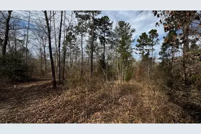 536 An County Road 1233, Palestine, TX 75801 - Photo 22