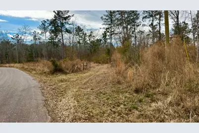 536 An County Road 1233, Palestine, TX 75801 - Photo 4