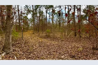 536 An County Road 1233, Palestine, TX 75801 - Photo 8