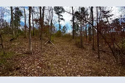 536 An County Road 1233, Palestine, TX 75801 - Photo 6
