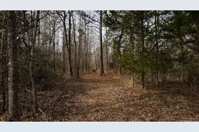 536 An County Road 1233, Palestine, TX 75801 - Photo 28
