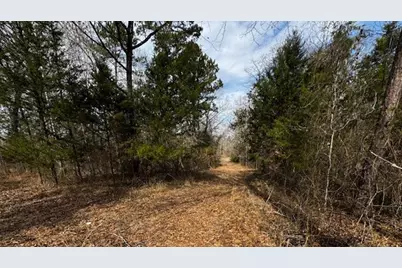 0 An County Rd 1233, Palestine, TX 75801 - Photo 14