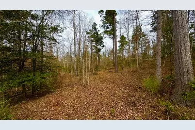 0 An County Rd 1233, Palestine, TX 75801 - Photo 22