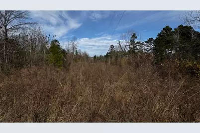 0 An County Rd 1233, Palestine, TX 75801 - Photo 10