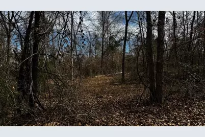 0 An County Rd 1233, Palestine, TX 75801 - Photo 4