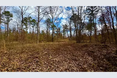 0 An County Rd 1233, Palestine, TX 75801 - Photo 20