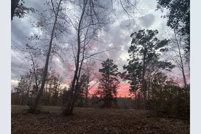 0 An County Rd 1233, Palestine, TX 75801 - Photo 2