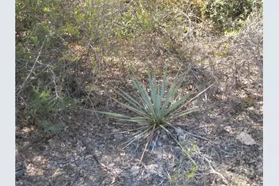 Lot 118 Stonebridge Drive, Weatherford, TX 76085 - Photo 4