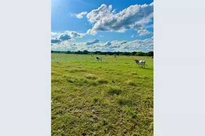 Tbd 104 Acres Fm 103, Nocona, TX 76255 - Photo 4