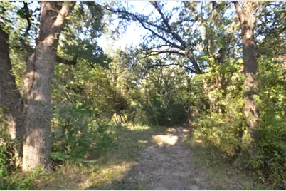 1125 Lake Road, Gordonville, TX 76245 - Photo 4