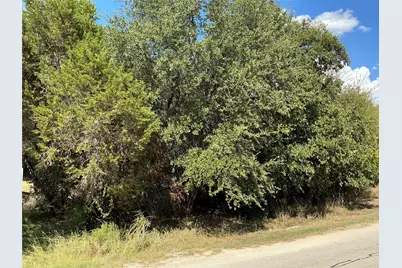 24002 Stonewood Drive, Whitney, TX 76692 - Photo 8