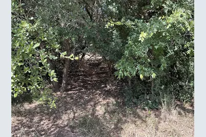 24002 Stonewood Drive, Whitney, TX 76692 - Photo 12