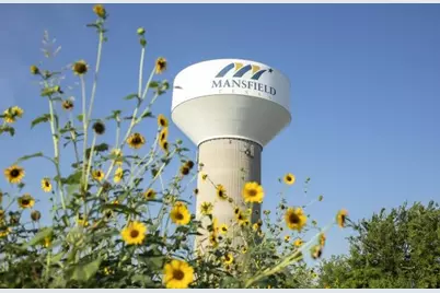 310 Alicia Court, Mansfield, TX 76063 - Photo 4