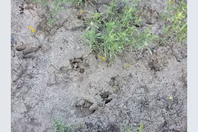 1200 E Rabbit Cove Road, West Tawakoni, TX 75474 - Photo 10