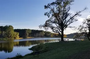 Lot 466 Cr-4710, LaRue, TX 75770 - Photo 30