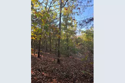 Lot 466 Cr-4710, LaRue, TX 75770 - Photo 16