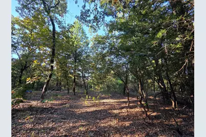 Lot 466 Cr-4710, LaRue, TX 75770 - Photo 4