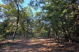 Lot 466 Cr-4710, LaRue, TX 75770 - Photo 4