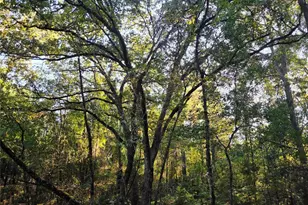 Lot 466 Cr-4710, LaRue, TX 75770 - Photo 22