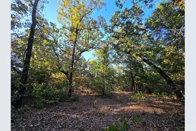 Lot 466 Cr-4710, LaRue, TX 75770 - Photo 1