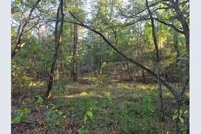 Lot 466 Cr-4710, LaRue, TX 75770 - Photo 24