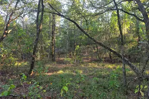 Lot 466 Cr-4710, LaRue, TX 75770 - Photo 24