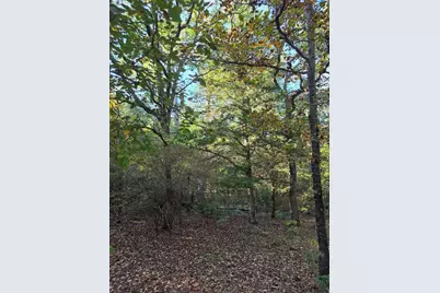 Lot 466 Cr-4710, LaRue, TX 75770 - Photo 18