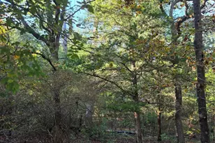 Lot 466 Cr-4710, LaRue, TX 75770 - Photo 18