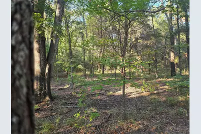 Lot 466 Cr-4710, LaRue, TX 75770 - Photo 20