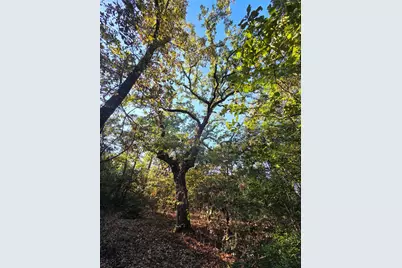 Lot 466 Cr-4710, LaRue, TX 75770 - Photo 10