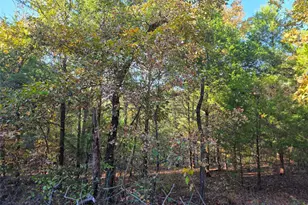 Lot 466 Cr-4710, LaRue, TX 75770 - Photo 12