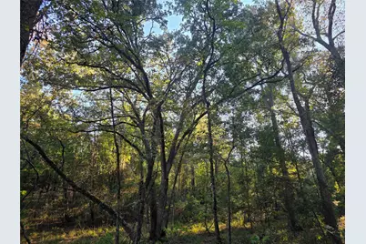 Lot 466 Cr-4710, LaRue, TX 75770 - Photo 38