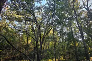 Lot 466 Cr-4710, LaRue, TX 75770 - Photo 38