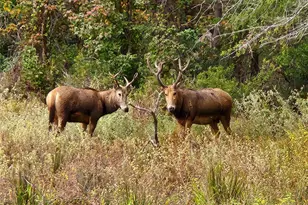 Lot 466 Cr-4710, LaRue, TX 75770 - Photo 32