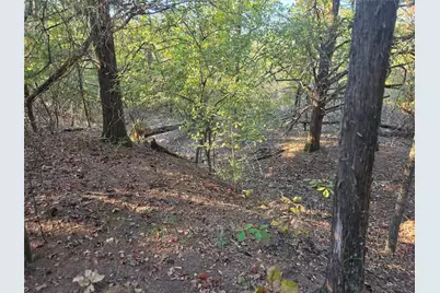 Lot 466 Cr-4710, LaRue, TX 75770 - Photo 8