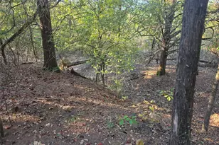 Lot 466 Cr-4710, LaRue, TX 75770 - Photo 8