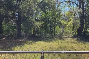 1713 W Frank St, Grand Saline, TX 75140 - Photo 8