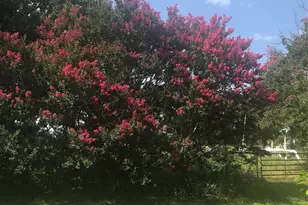 5405 County Rd 704D, Cleburne, TX 76031 - Photo 4