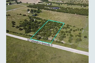 Tbd Lemonade Lane #Lot 7, Farmersville, TX 75442 - Photo 2