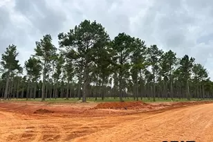 Lot 1 Oak River, Frankston, TX 75763 - Photo 10