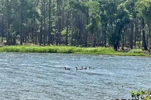 Lot 1 Oak River, Frankston, TX 75763 - Photo 18